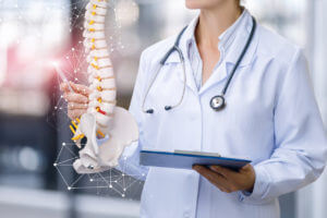 Doctor pointing at a model of a spine