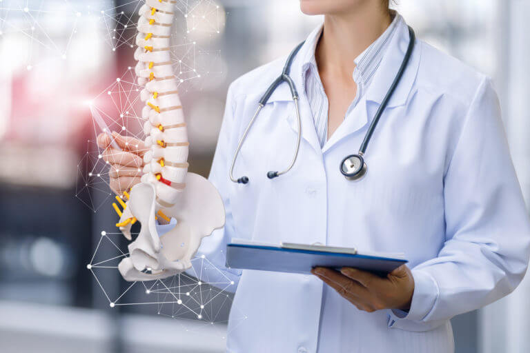 Doctor pointing at a model of a spine
