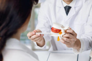 The doctor shows the patient a model of the intervertebral connection.