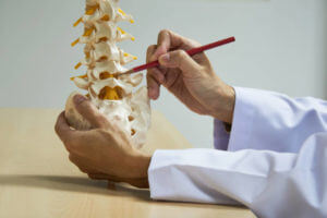 A neurosurgeon using red pencil demonstrating human lumbar spine model anatomy in medical office