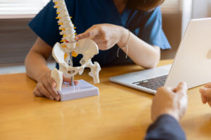 Close-up physical therapist's hand pointing to the back of a human skeleton to advise and consult the patient about back pain treatment.