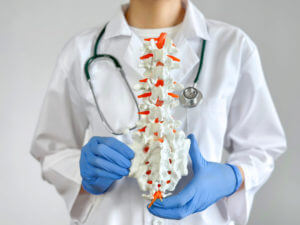 A spine surgeon is showing a human spine and nervous system while holding artificial discs.