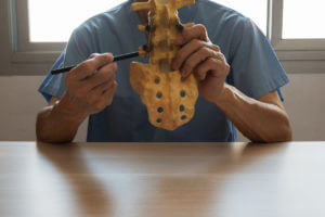 A spine surgeon is demonstrating a lumbar spine model with instrumentation.