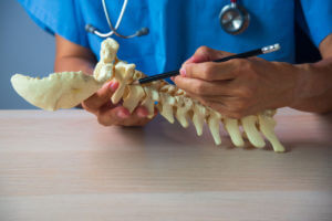 A spine surgeon demonstrates upper cervical spine anatomy using a 3D model while explaining artificial disc replacement to a patient.