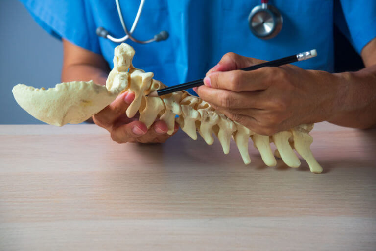 A spine surgeon demonstrates upper cervical spine anatomy using a 3D model while explaining artificial disc replacement to a patient.