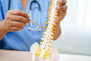 A spine surgeon holding a spinal nerve and bone model demonstrates treatment for a displaced herniated disc fragment using minimally invasive spinal surgery.